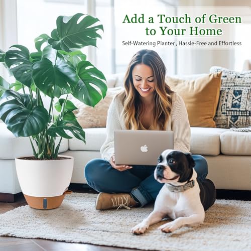 Large Indoor Decorative Planters