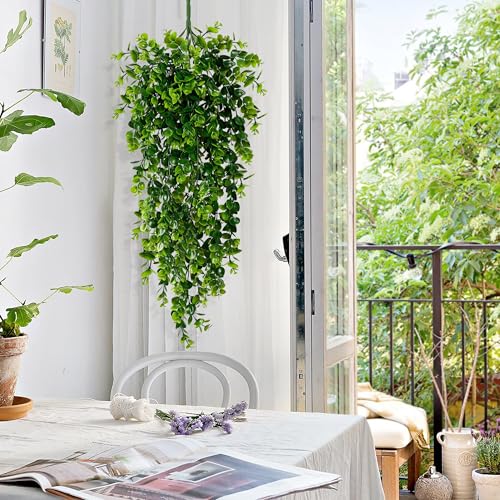 Hanging Plant Shelf