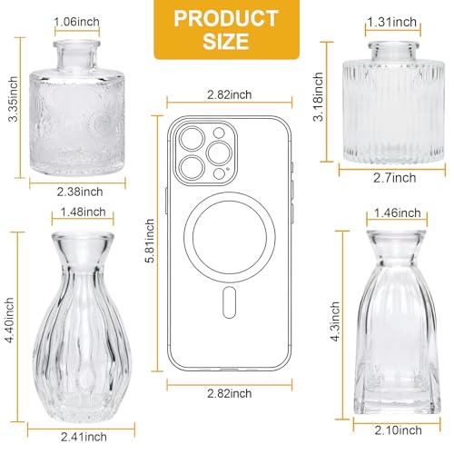 Glass Vases